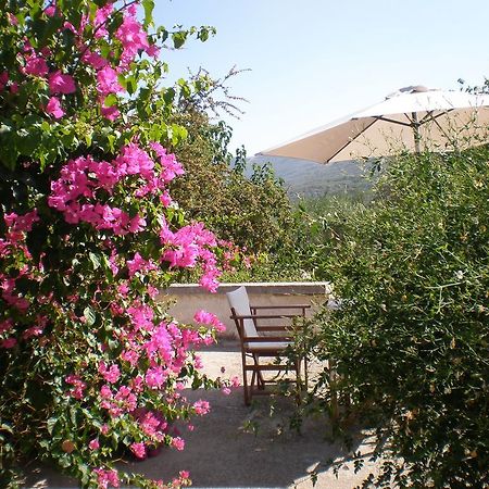 Villa Ouranos Kissamos Exterior photo